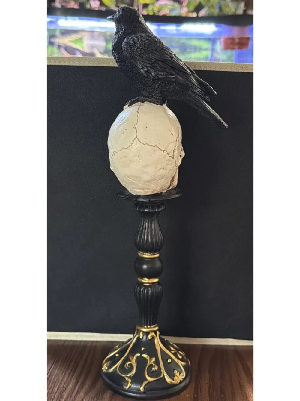 Raven On Skull On Pedastel Trimmed With Gold 15”